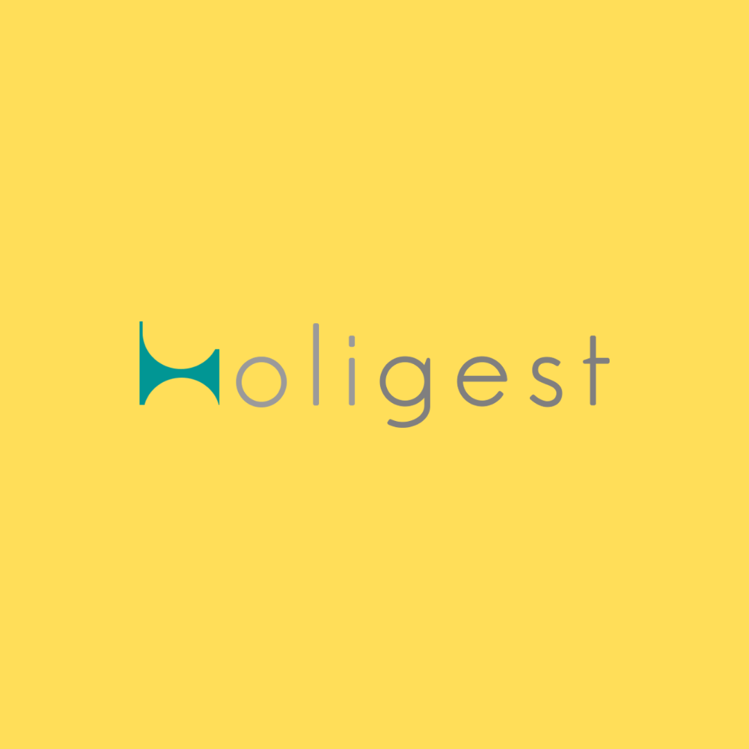 Holigest Partner